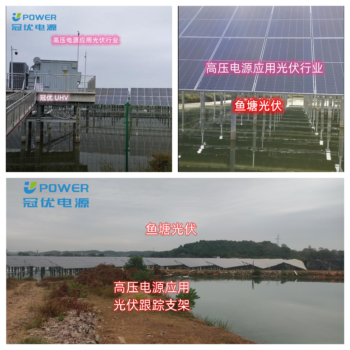 魚塘光伏拚圖1.png